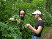 Graver Arboretum