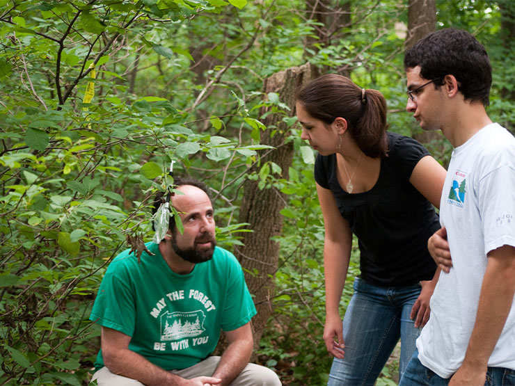 An instructor crouches in a the undergrowth of a forest while speaking with college students.