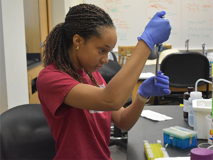 A college student in a red shirt wearing blue gloves does chemistry research.