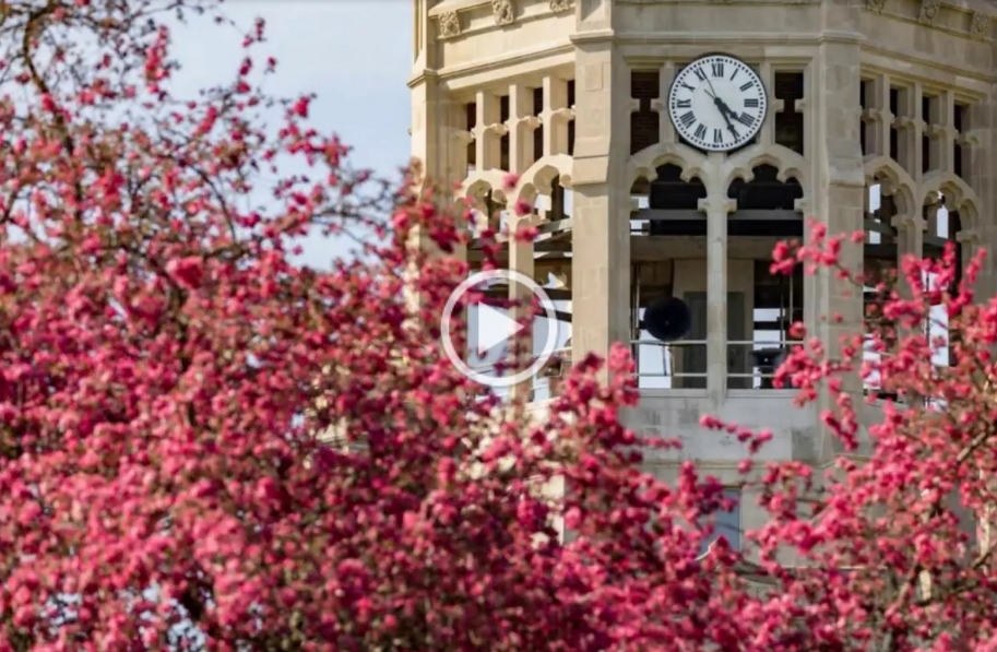 Image of Clock Tower