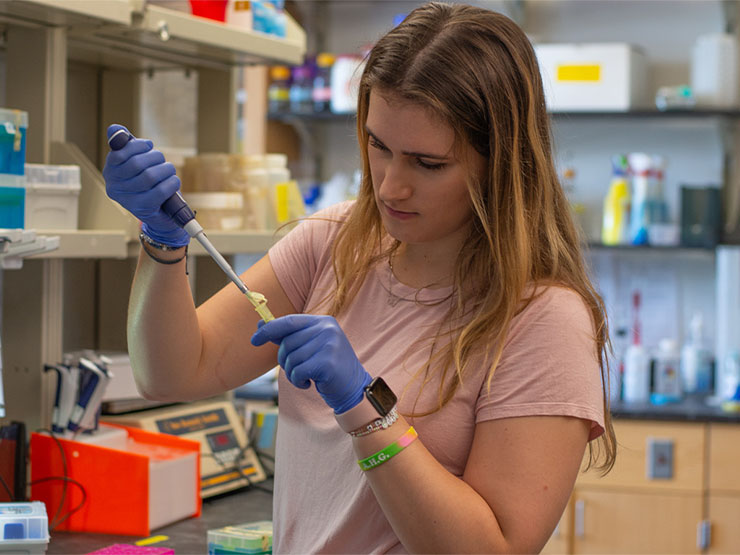 A college student transfers materials through a pipette in a laboratory.