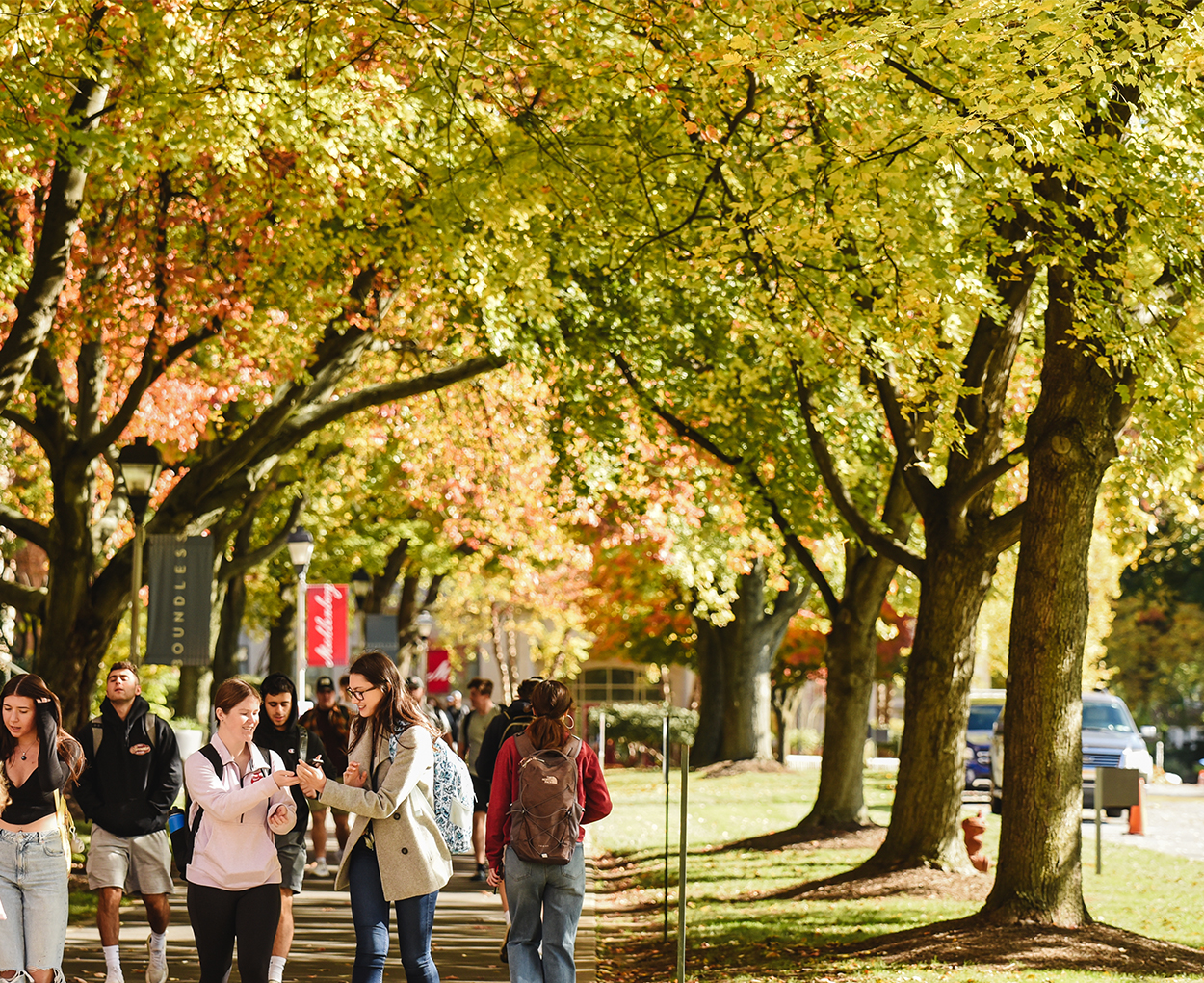 Students stroll down a sidewalk under a canopy of fall foliage.