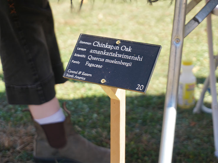 A sample of the black acrylic signage labeling a campus tree with its common, scientific and Indigenous name is displayed on a stake in the ground.