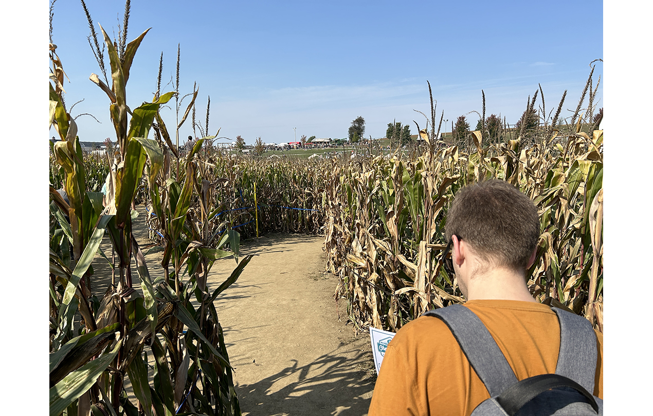 Image for Corn maze at Cherry Crest (Physical)