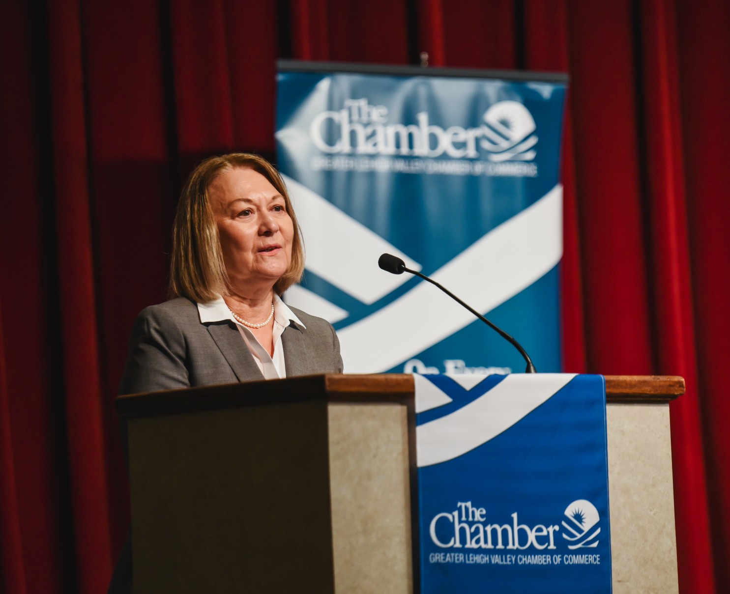 7th District Congressional Debate - Kathleen Harring Welcomes Audience