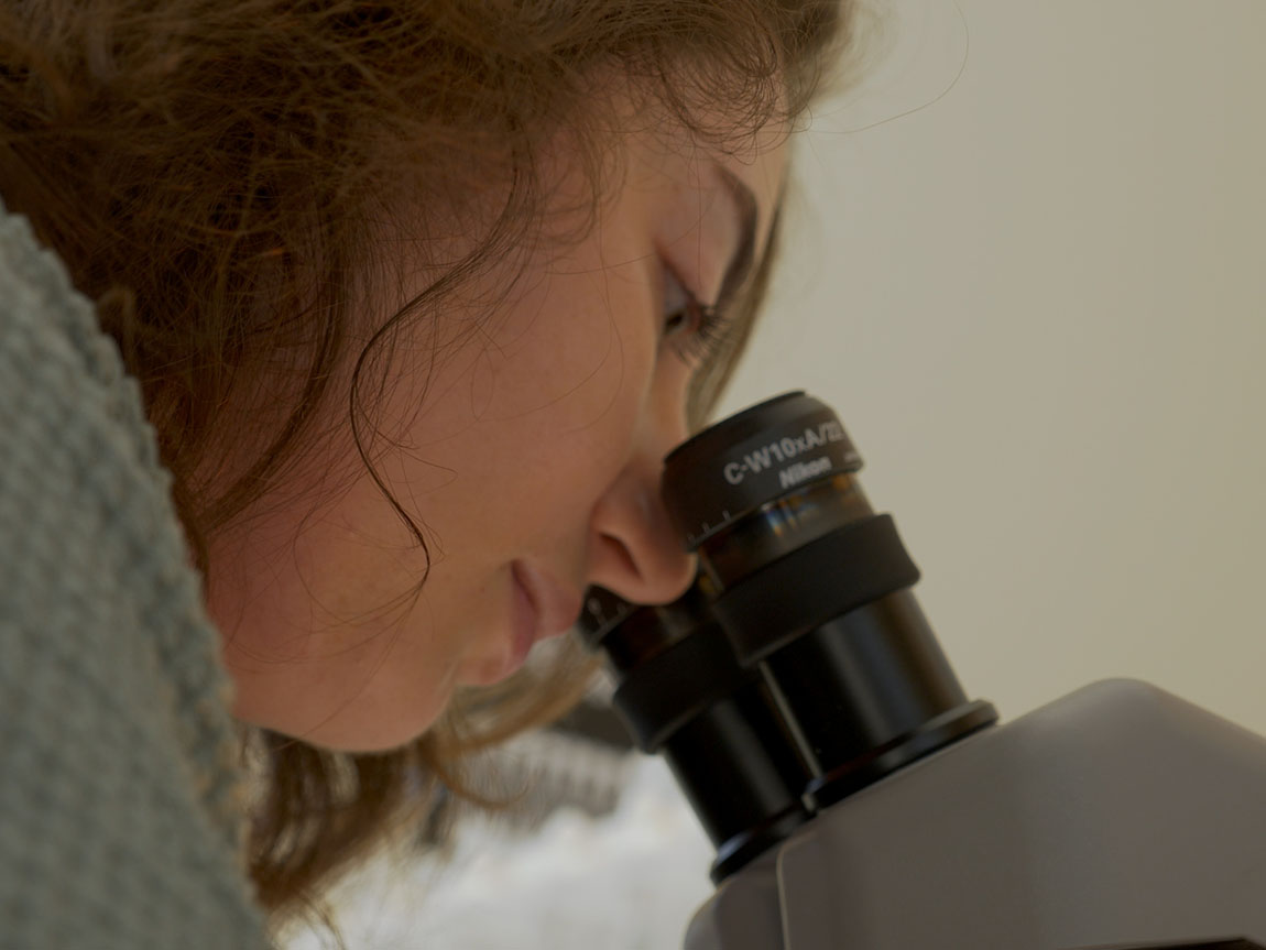 A college student looks into a microscope